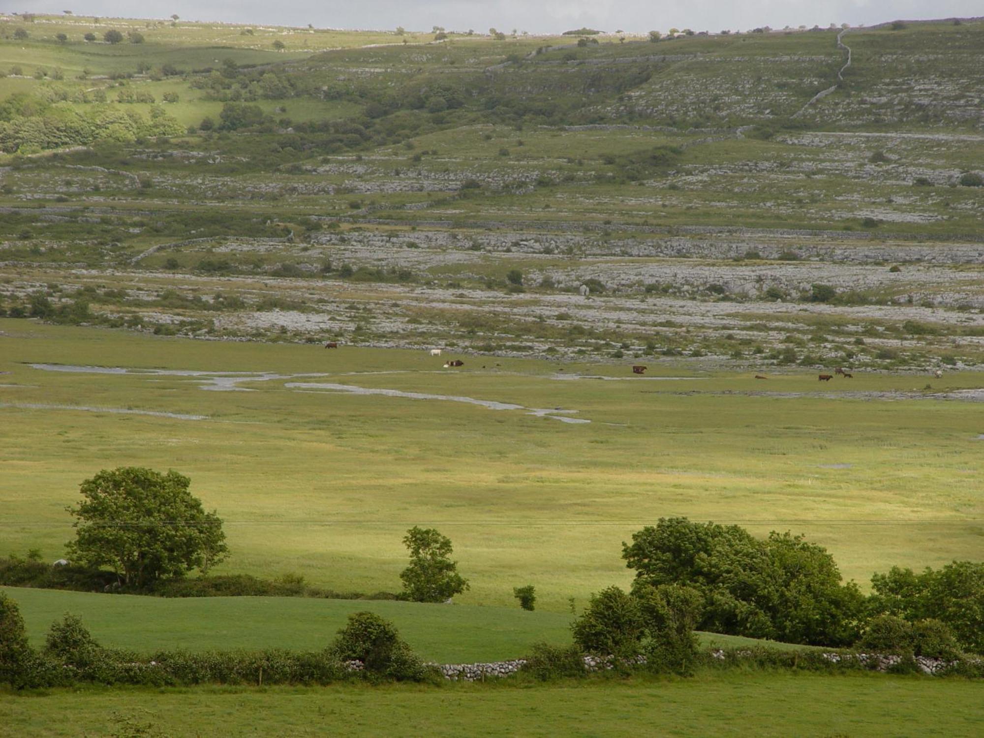 Clare'S Rock Self-Catering Accommodation Carron Экстерьер фото