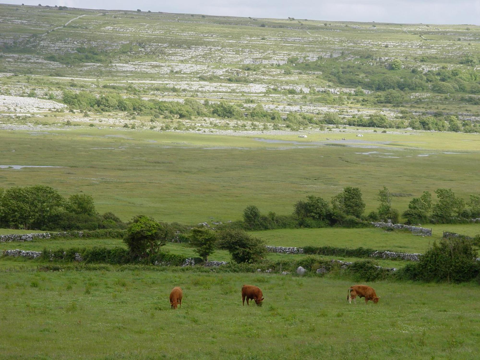 Clare'S Rock Self-Catering Accommodation Carron Экстерьер фото